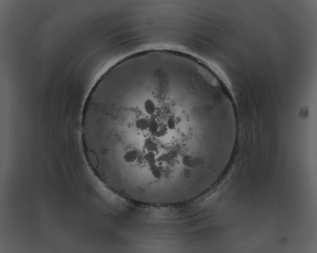 X0000091720895200708241346