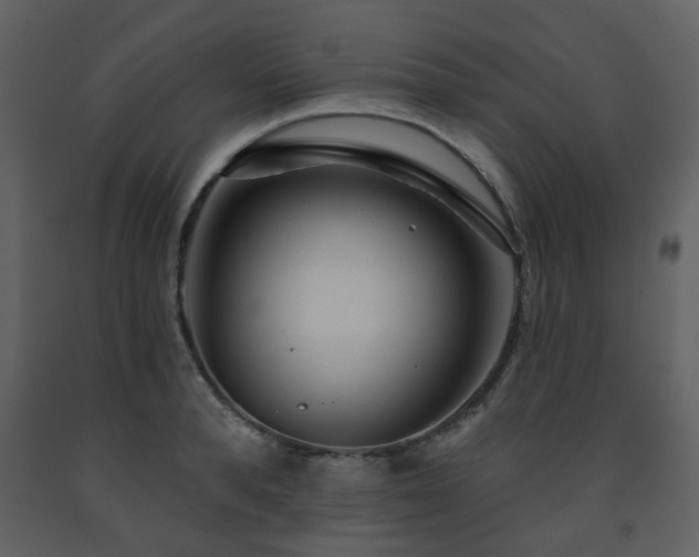 X0000091720896200708241346