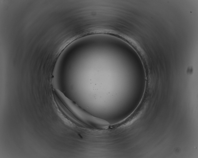 X0000091720897200708241346