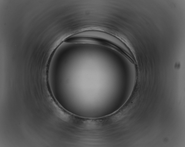X0000091720898200708241346