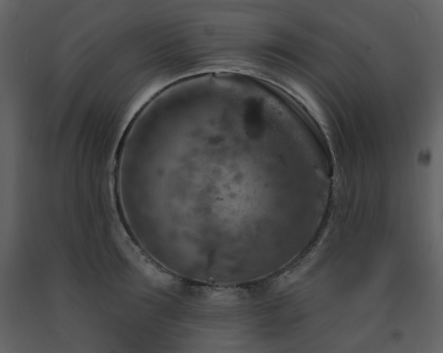 X0000091720899200708241346
