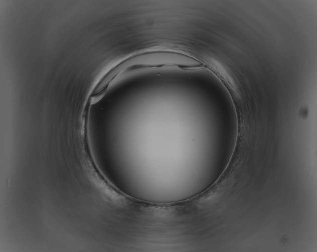 X0000091720900200708241346