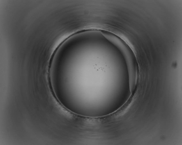 X0000091720901200708241346