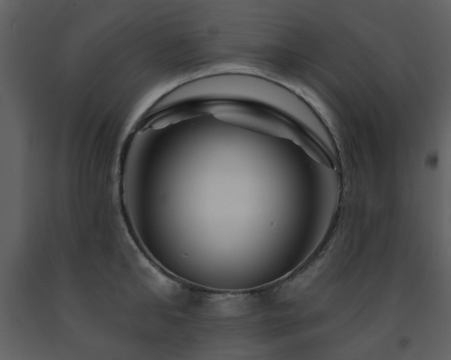 X0000091720902200708241346