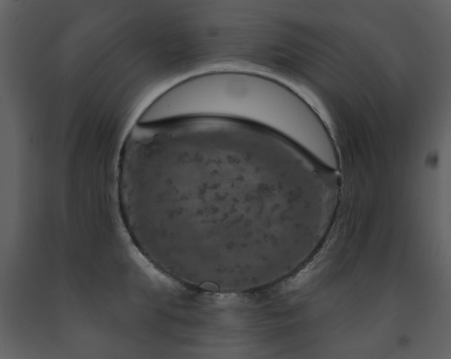 X0000091720903200708241346