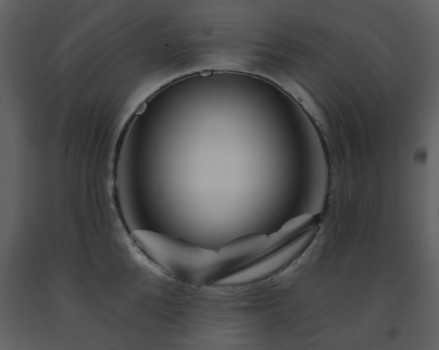 X0000091720904200708241346