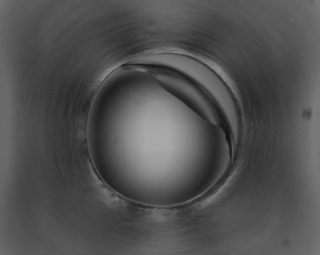 X0000091720905200708241346