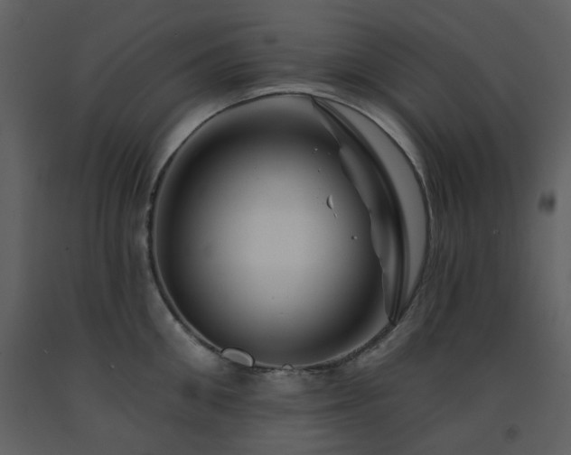 X0000091720906200708241346