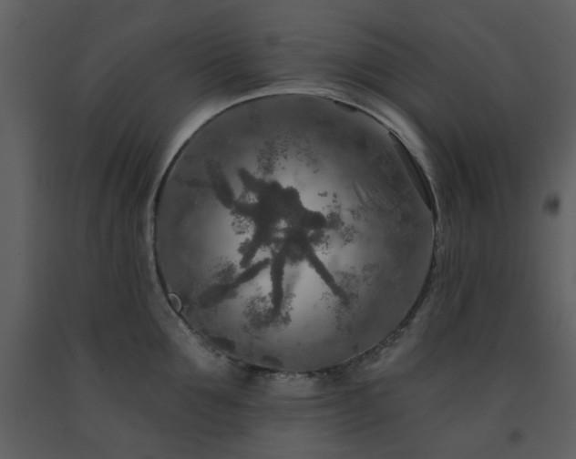 X0000091720907200708241346