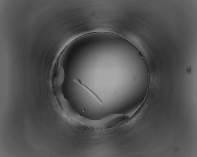 X0000091720908200708241346