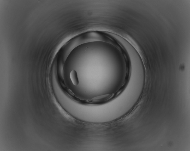 X0000091720909200708241346