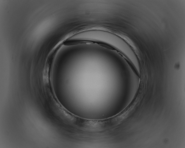 X0000091720910200708241346