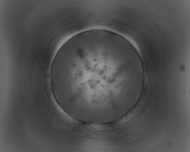 X0000091720911200708241346