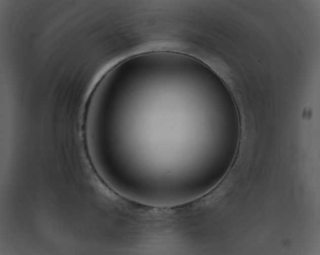 X0000091720912200708241346