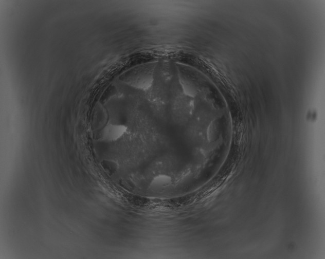 X0000091720913200708241346