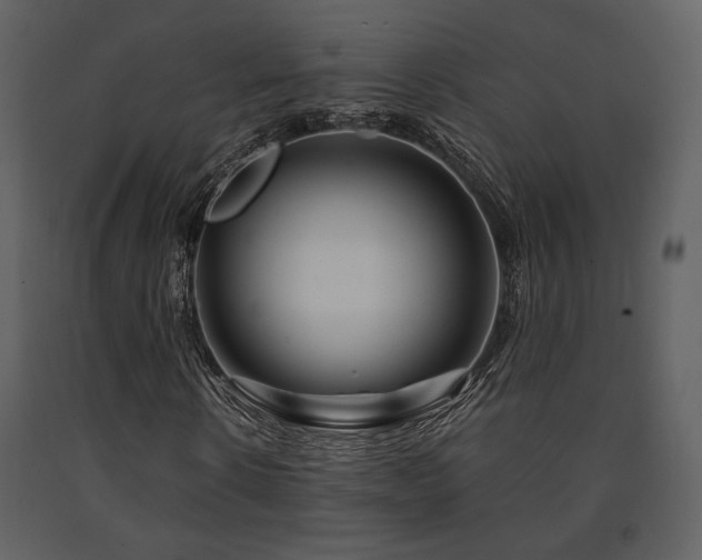 X0000091720914200708241346