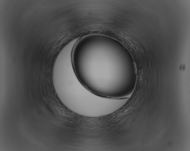 X0000091720916200708241346