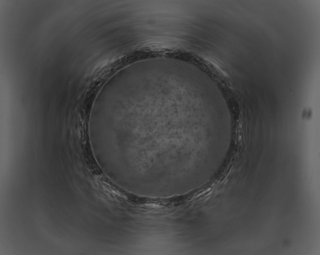 X0000091720917200708241346