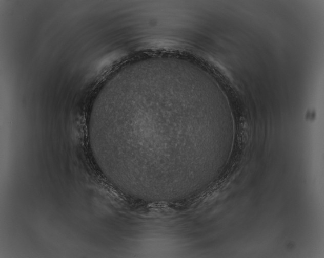X0000091720918200708241346