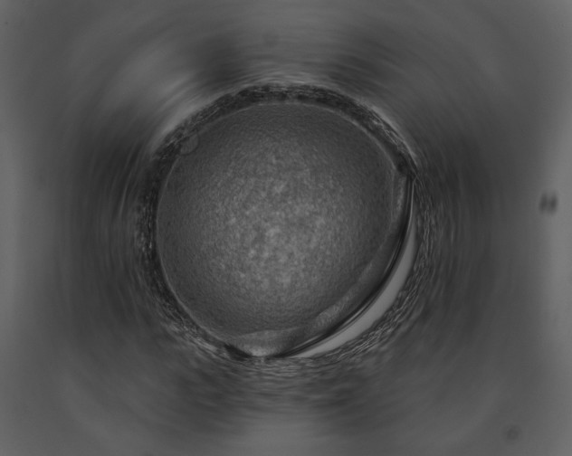 X0000091720919200708241346