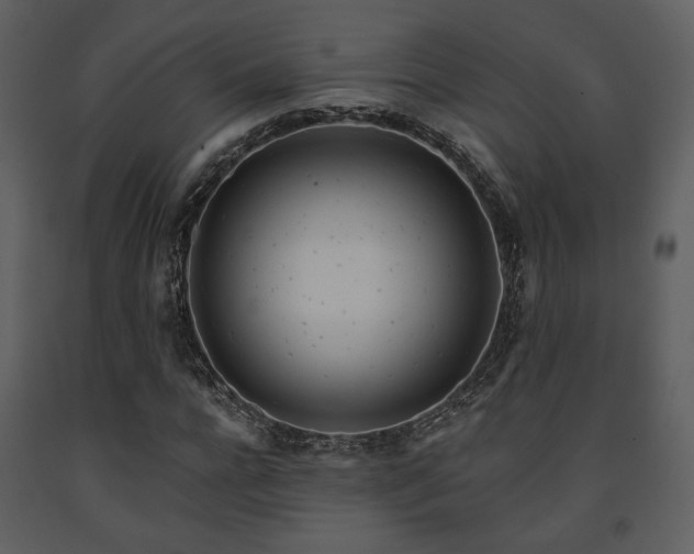 X0000091720920200708241346