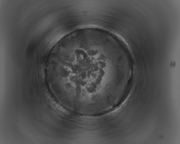 X0000091720921200708241346