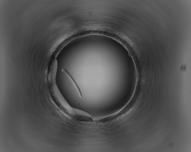 X0000091720922200708241346