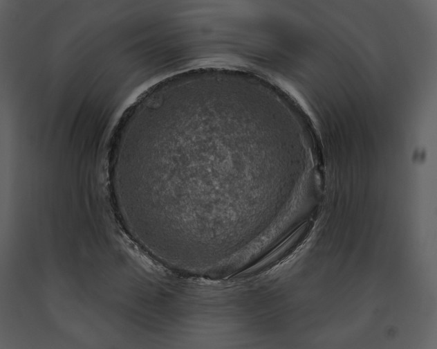 X0000091720923200708241346