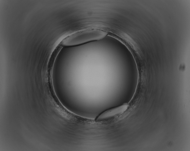 X0000091720924200708241346