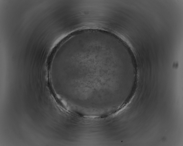 X0000091720925200708241346