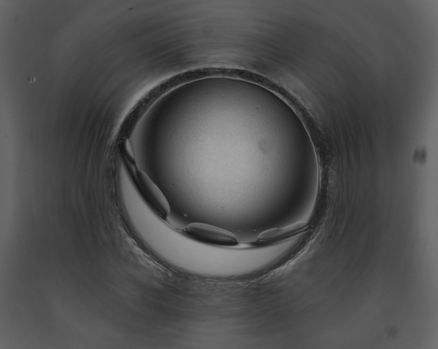 X0000091720926200708241346