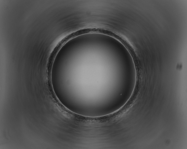 X0000091720927200708241346