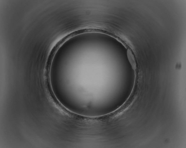 X0000091720928200708241346