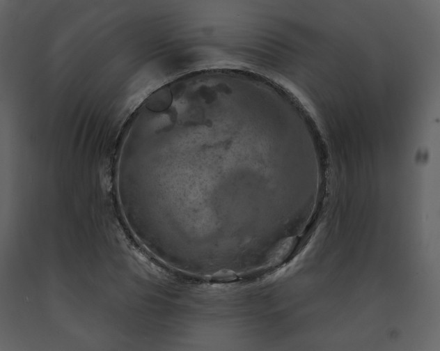 X0000091720929200708241346