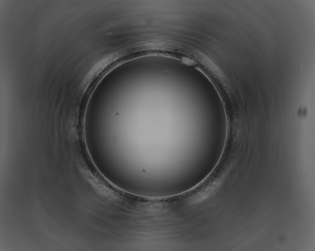 X0000091720930200708241346