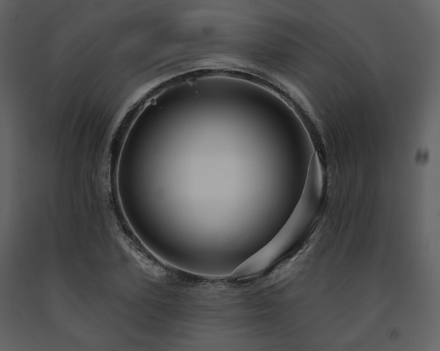 X0000091720931200708241346