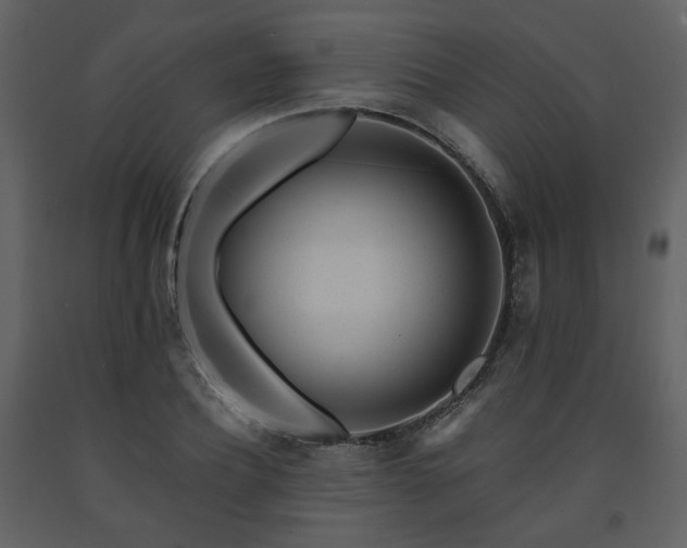X0000091720932200708241346