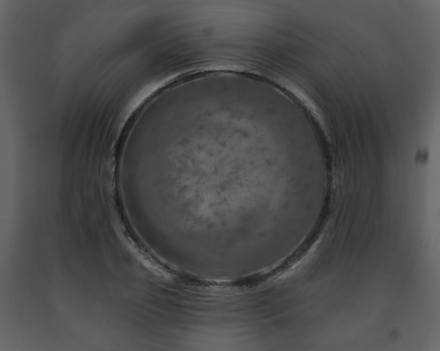 X0000091720933200708241346