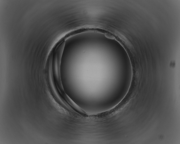 X0000091720934200708241346