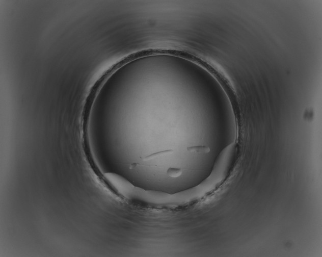 X0000091720935200708241346