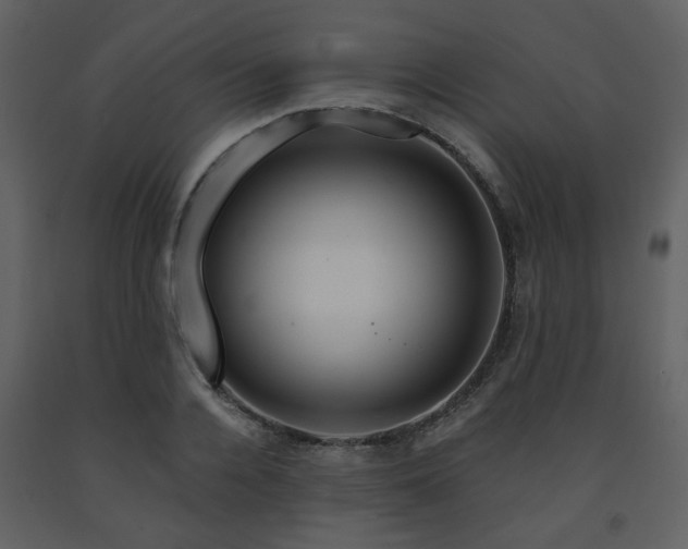 X0000091720936200708241346