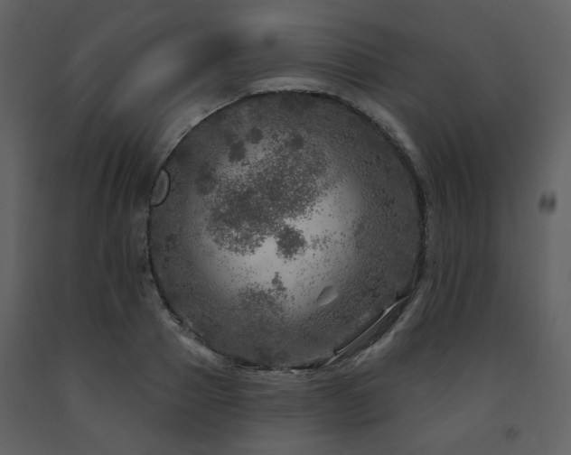 X0000091720937200708241346