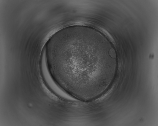 X0000091720938200708241346