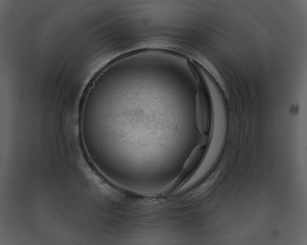 X0000091720939200708241346