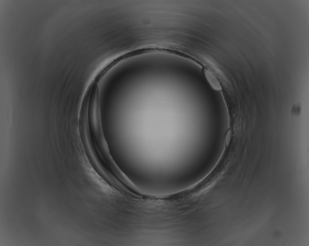 X0000091720940200708241346