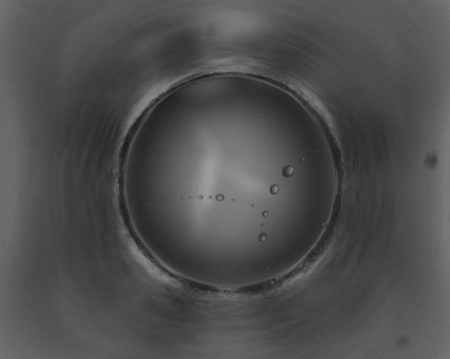 X0000091720941200708241346