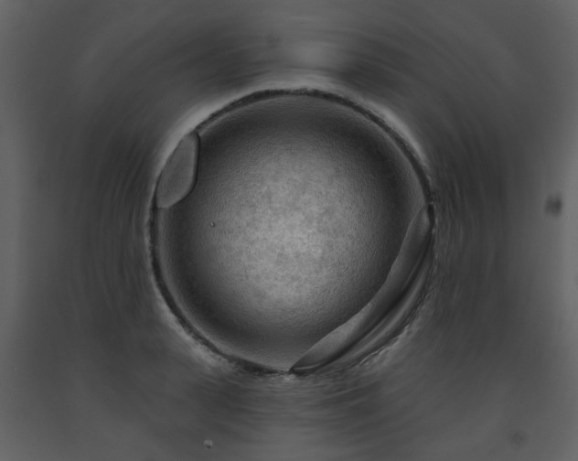 X0000091720943200708241346