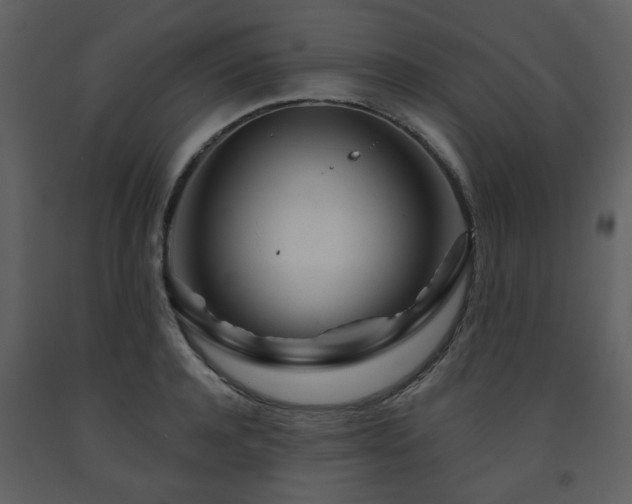 X0000091720944200708241346