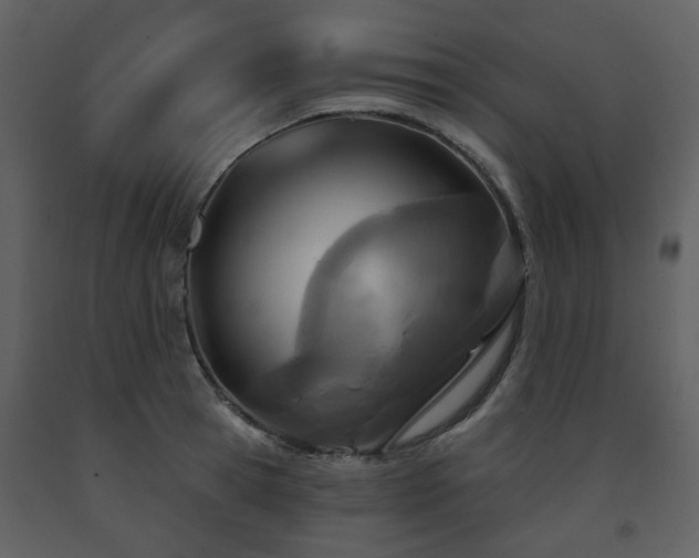 X0000091720945200708241346
