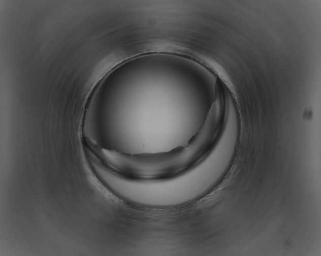 X0000091720946200708241346